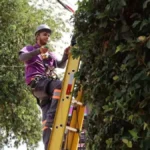 Trabalho intermitente gera disputa judicial em MS