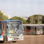 Campo Grande está entre capitais com maior subsídio ao transporte coletivo
